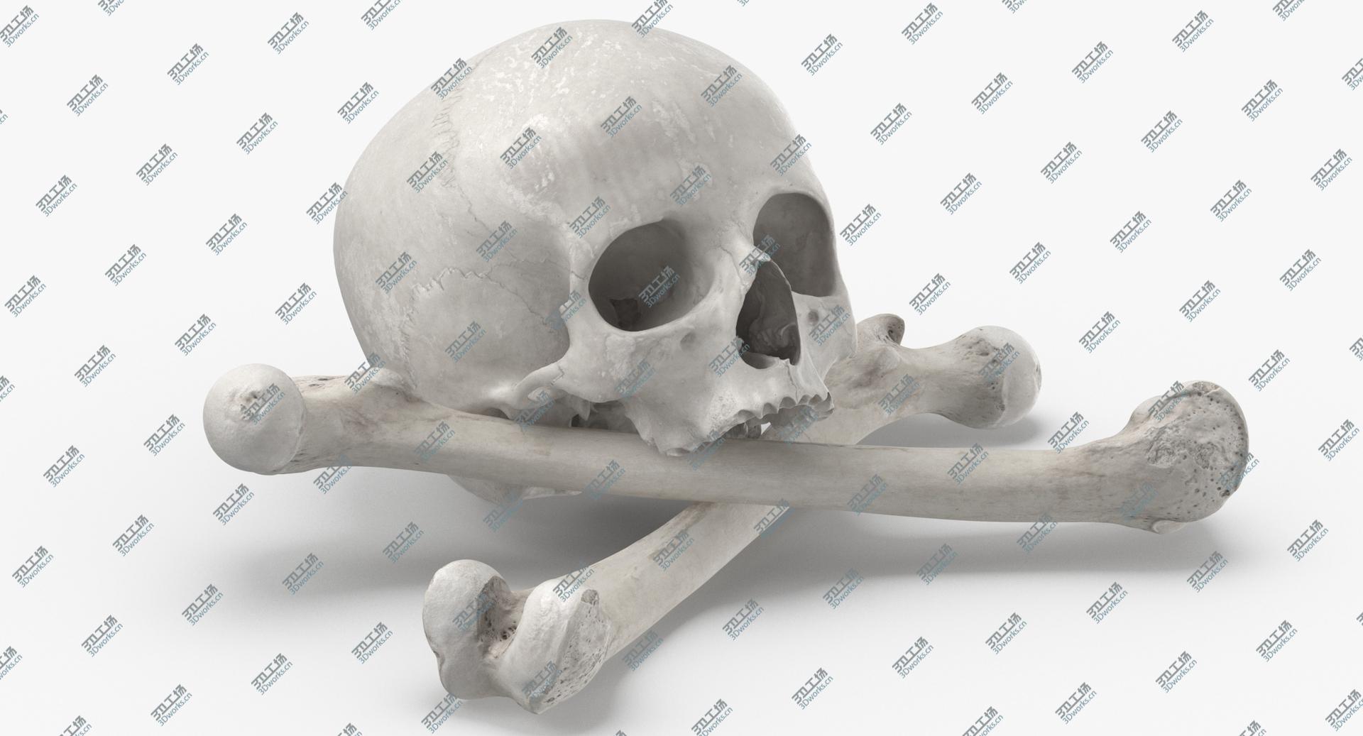 images/goods_img/202104021/3D Pirate Skull and Bones Compostion 01 White/3.jpg